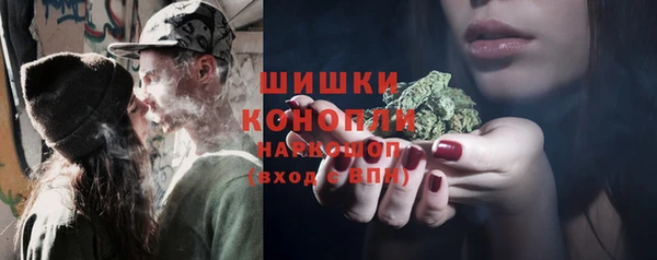прущие грибы Абдулино