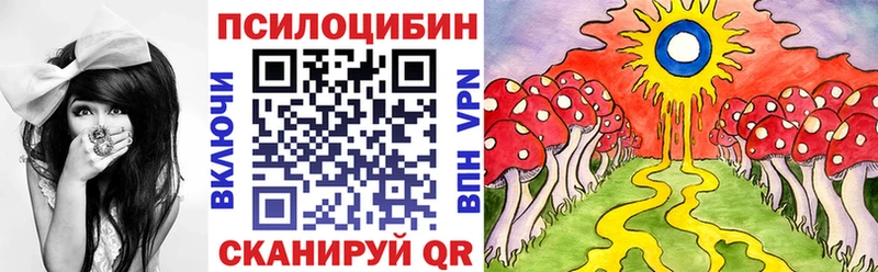 Псилоцибиновые грибы MAGIC MUSHROOMS  нарко площадка наркотические препараты  Тюкалинск 